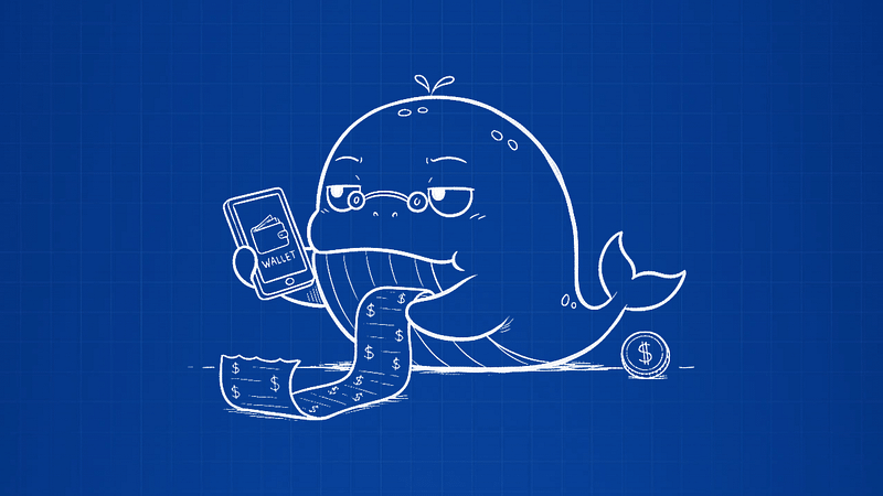 Crypto Wallet Development Cost: What You're Actually Paying For (and Where the MetaMask Clone Quotes
