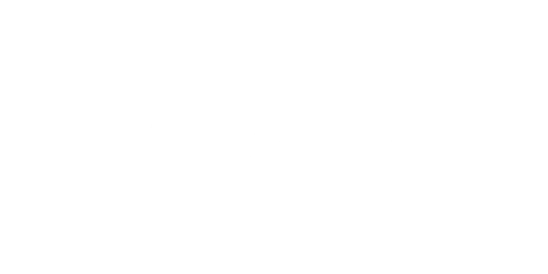 86741350c03f61c82eaf5ca73b04.webp