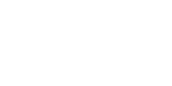 vytautas magnus university