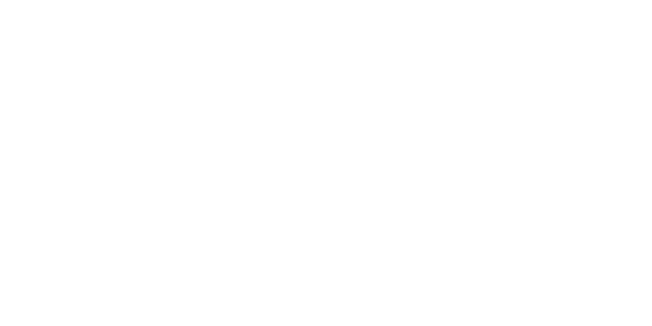 world cybercurrency logo