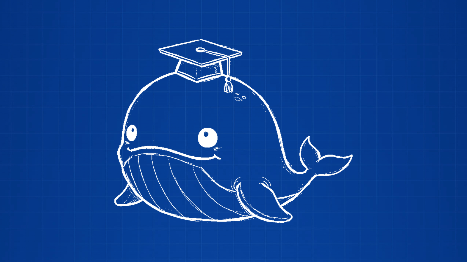 BeAWhale whale illustration
