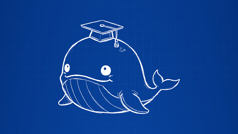 BeAWhale whale illustration