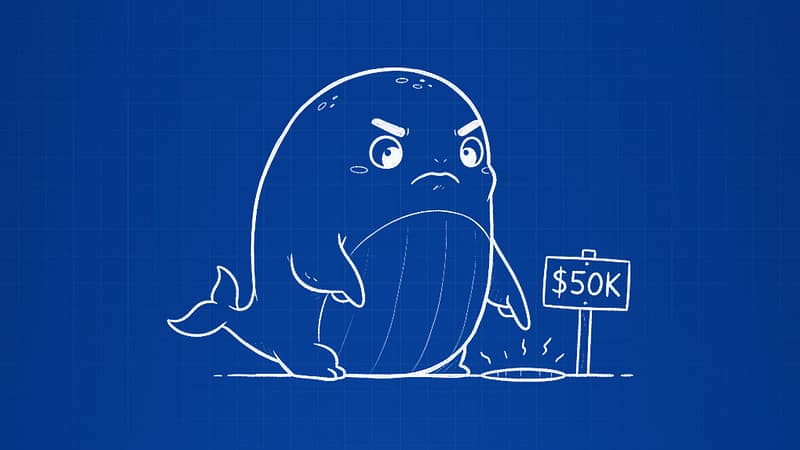 Cartoon whale pointing at a $50K hole - Web3 startup mistakes